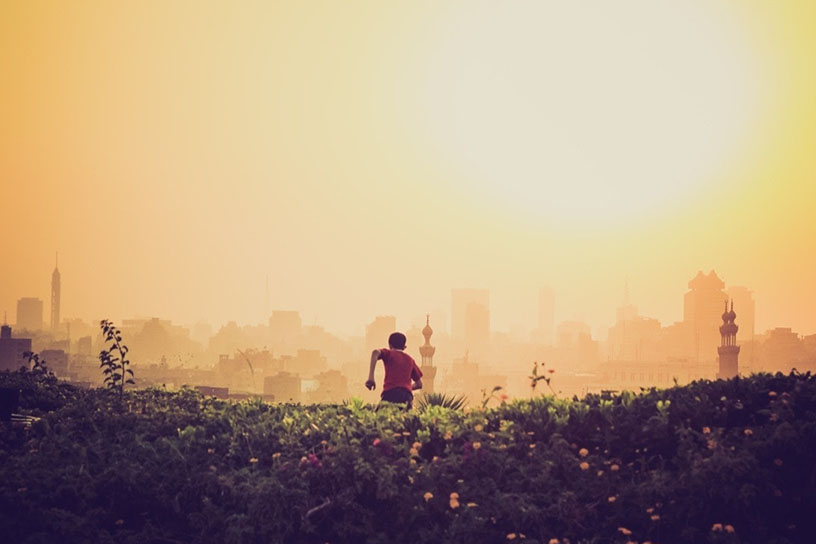 Ein Mann rennt auf eine nebelige Stadt zu, hinter ihm sind Hügel mit verschiedenen Blumen. Vor Ihm eine moderne Stadt, die in das Orange der Sonne getaucht ist. 